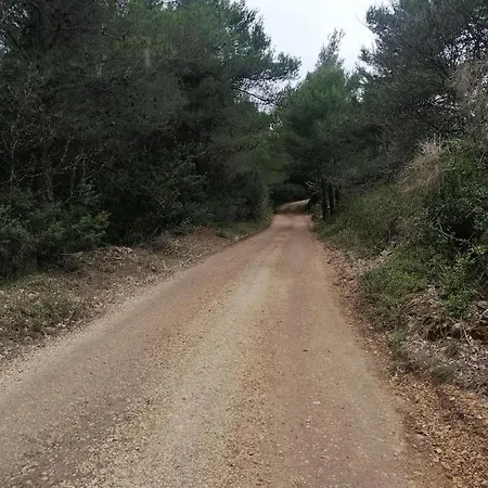 Rezidencija Galileja *